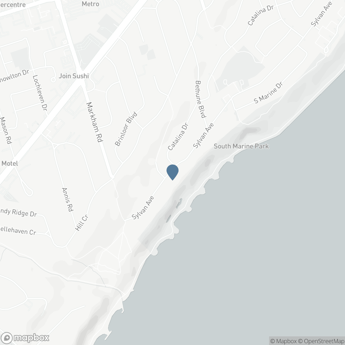 105 SYLVAN AVENUE, Toronto, Ontario M1M 1J9